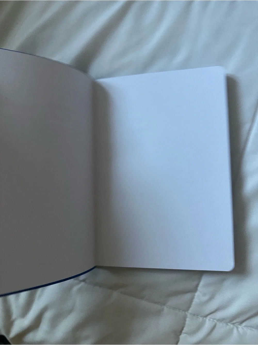 UCLA journal/notebook